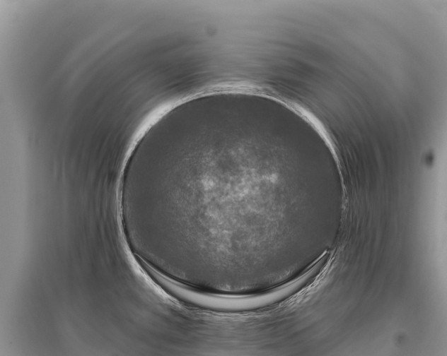 X0000096171389200801251140