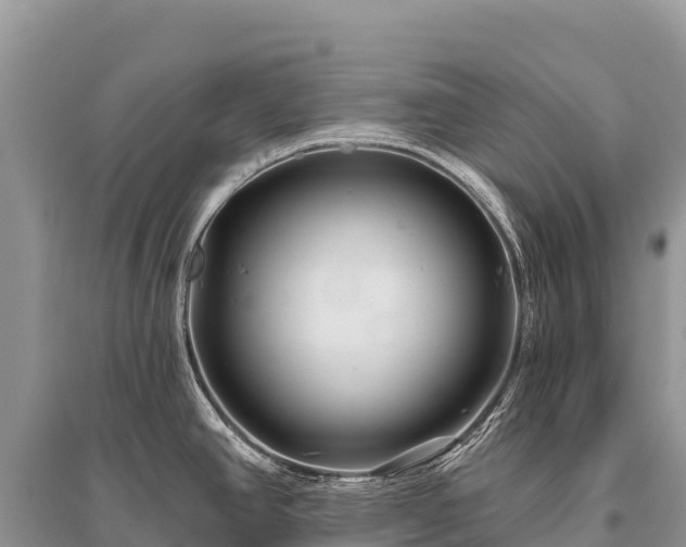 X0000096171390200801251140