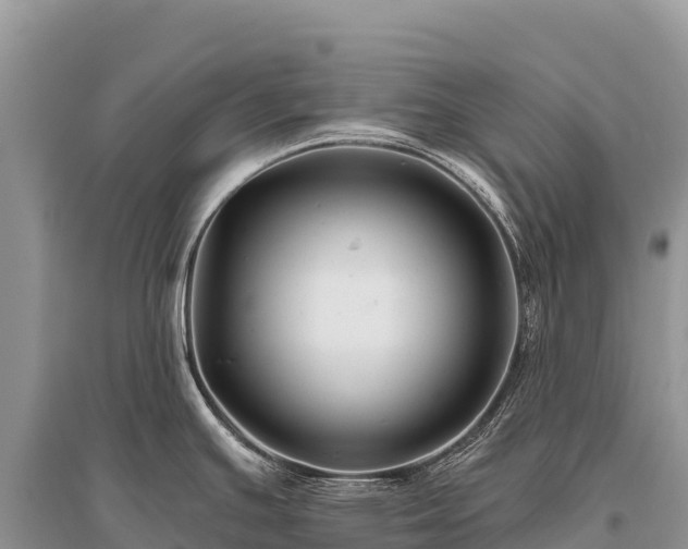 X0000096171391200801251140