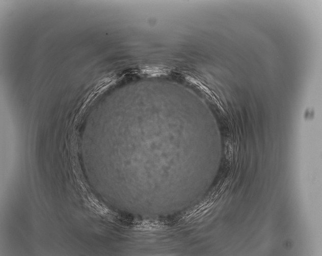X0000096171393200801251139