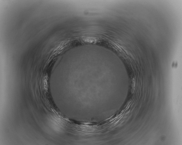 X0000096171394200801251139