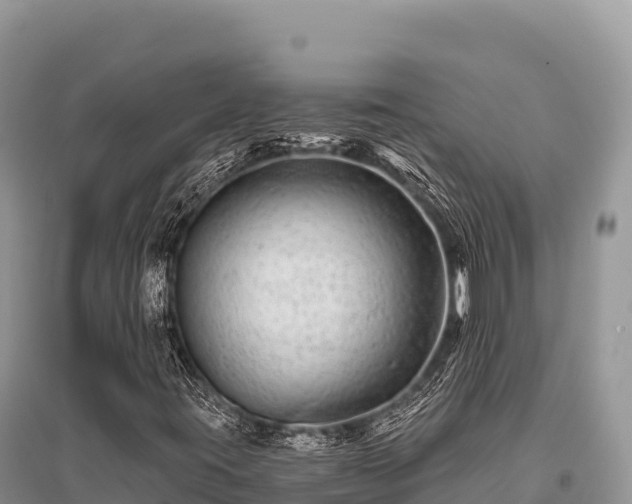 X0000096171395200801251139