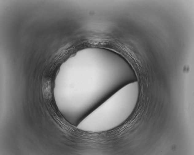X0000096171396200801251139