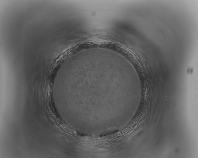 X0000096171397200801251139