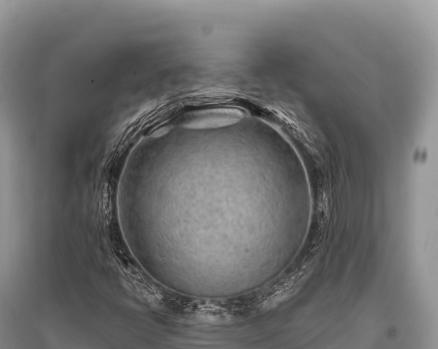 X0000096171398200801251139