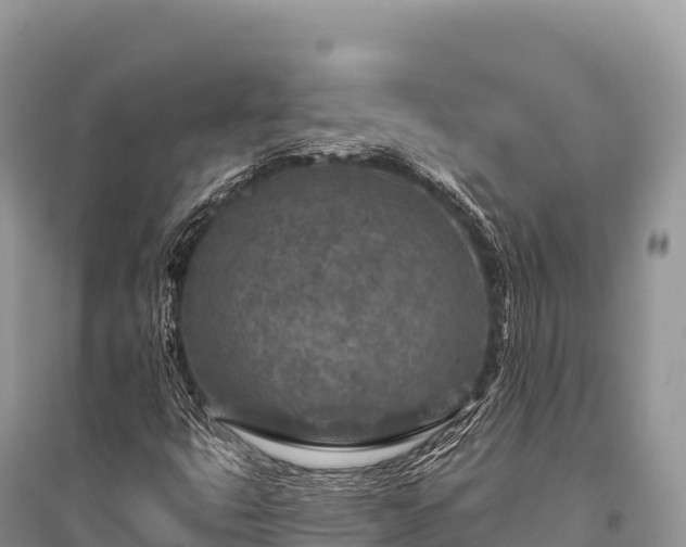 X0000096171399200801251139