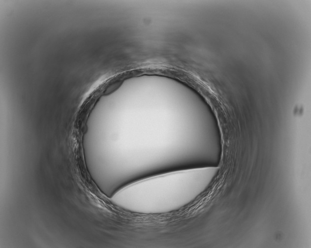 X0000096171400200801251139
