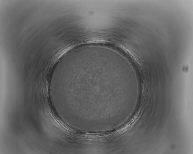 X0000096171401200801251139