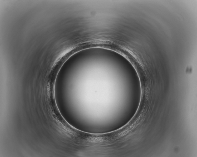 X0000096171402200801251140