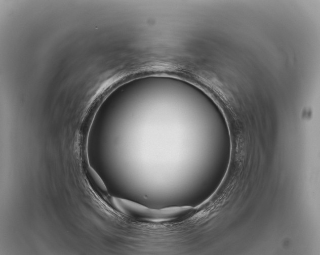 X0000096171404200801251140