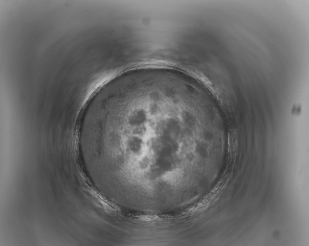 X0000096171405200801251140