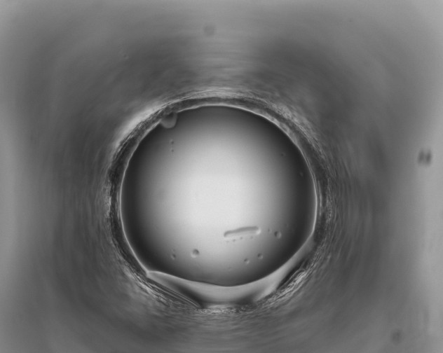 X0000096171406200801251140