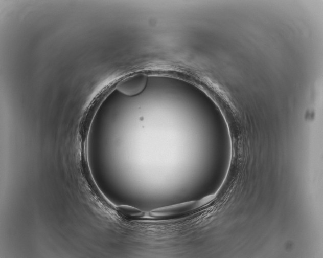 X0000096171408200801251140