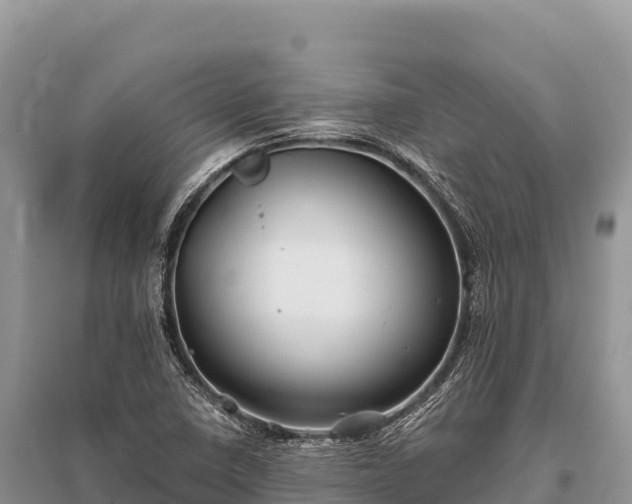 X0000096171410200801251140
