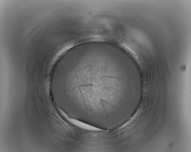 X0000096171411200801251140