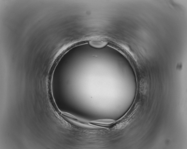 X0000096171412200801251140