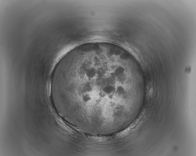 X0000096171413200801251140