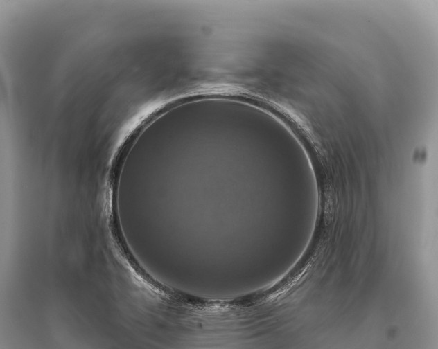 X0000096171414200801251140