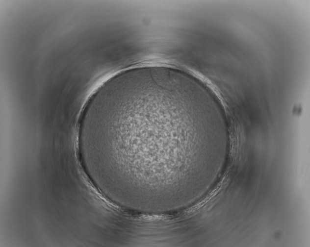 X0000096171415200801251140