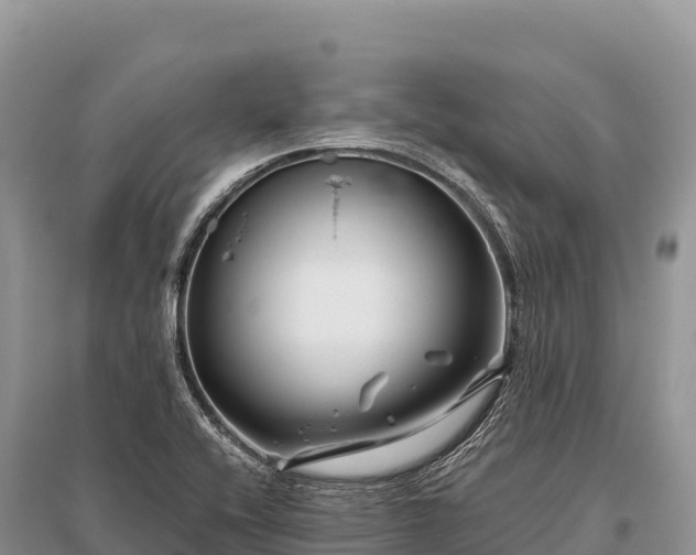 X0000096171416200801251140