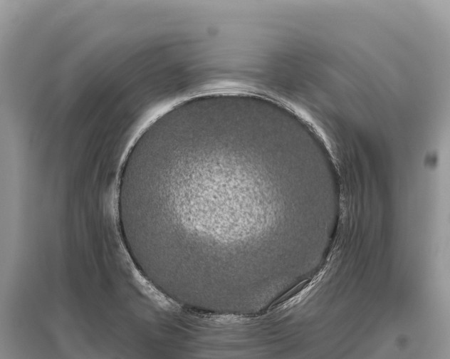 X0000096171421200801251140