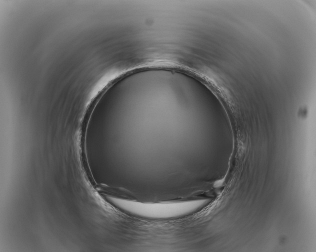 X0000096171422200801251140
