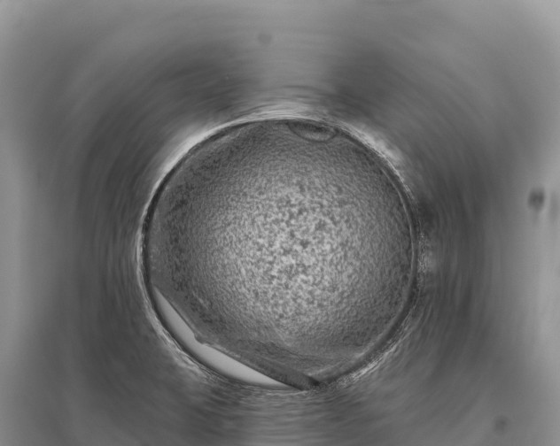 X0000096171423200801251140
