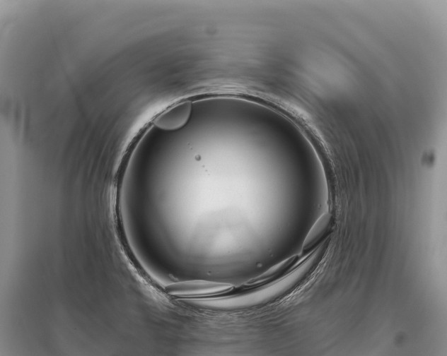 X0000096171424200801251140