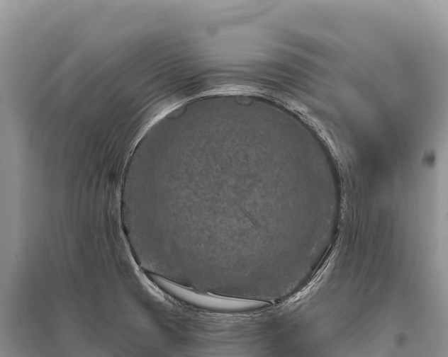 X0000096171425200801251140
