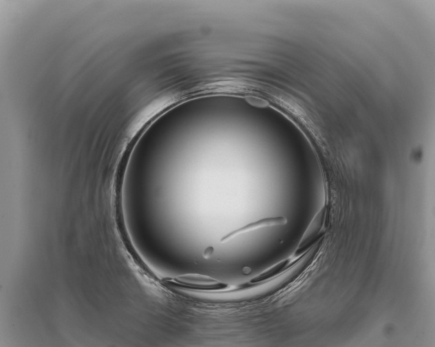 X0000096171426200801251140