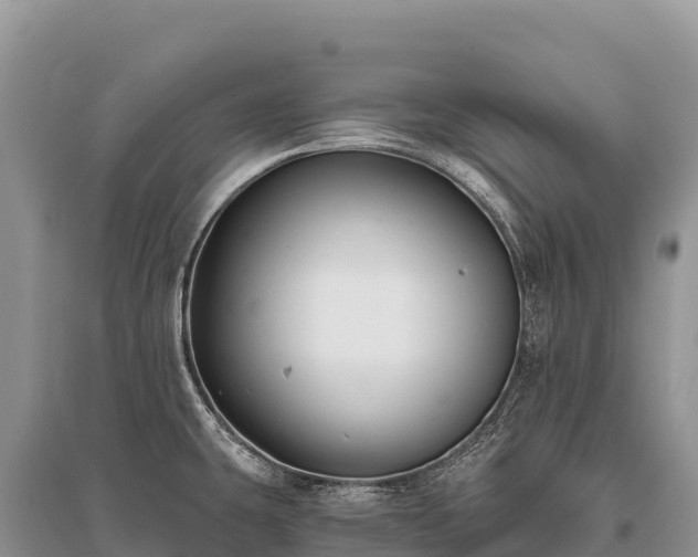 X0000096171431200801251140