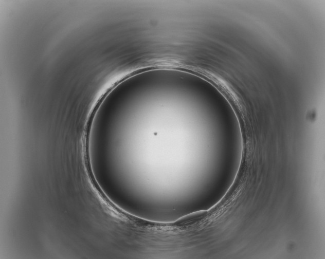 X0000096171432200801251140