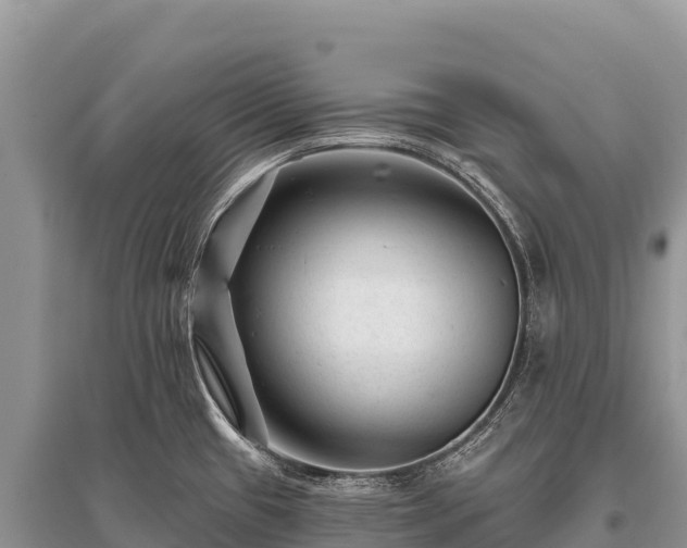 X0000096171433200801251140