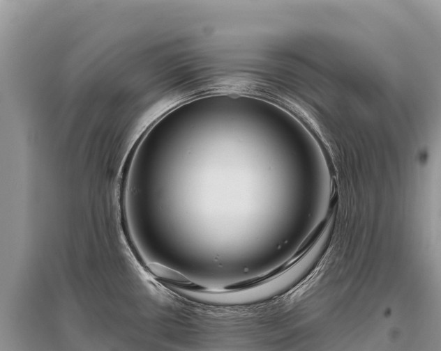 X0000096171434200801251140
