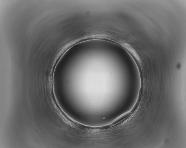 X0000096171436200801251140