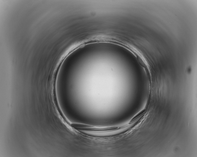 X0000096171437200801251140
