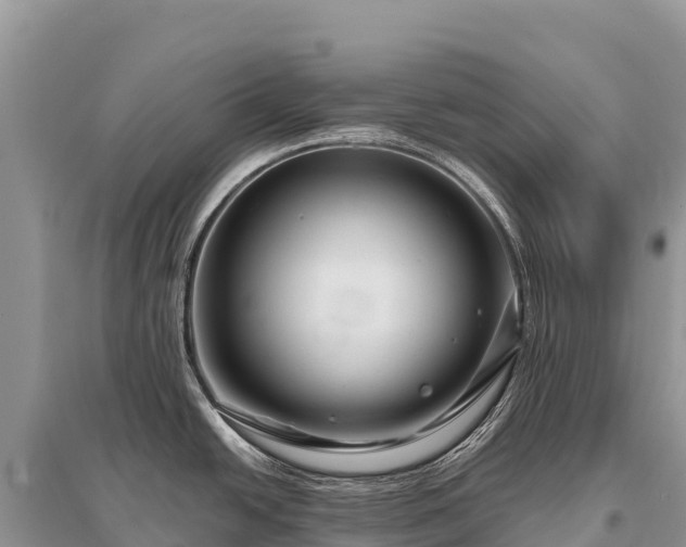 X0000096171438200801251140