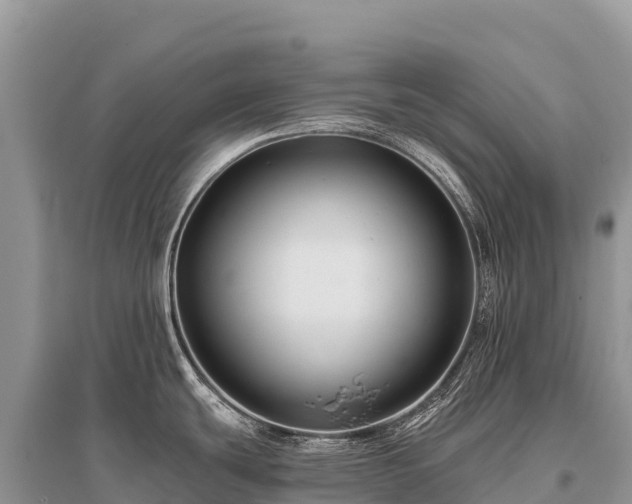 X0000096171439200801251140