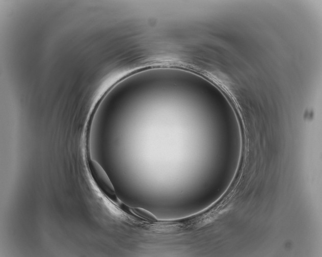 X0000096171440200801251140