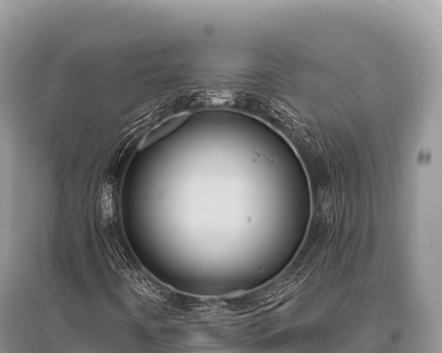 X0000096171442200801251139