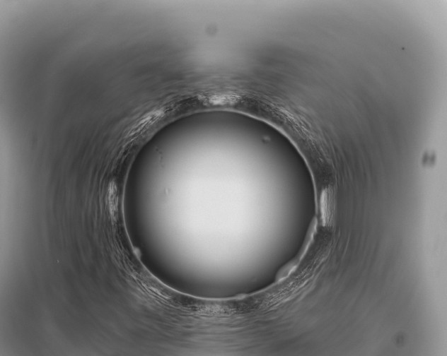 X0000096171443200801251139