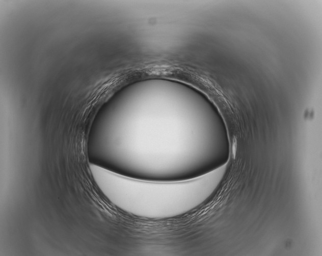 X0000096171444200801251139