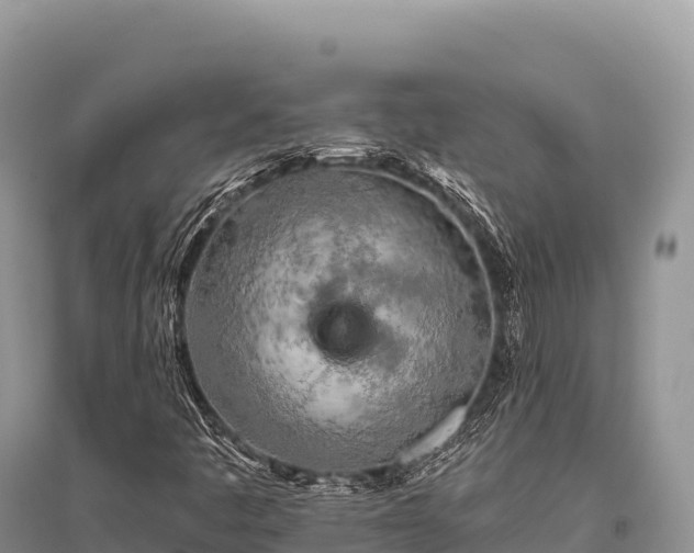 X0000096171445200801251139