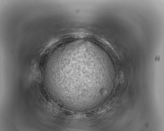 X0000096171446200801251139