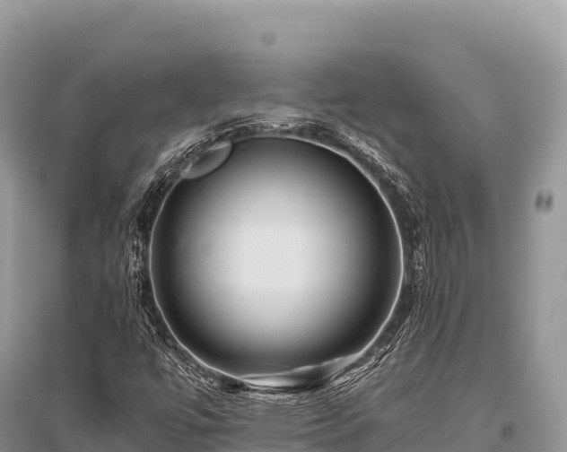 X0000096171447200801251139