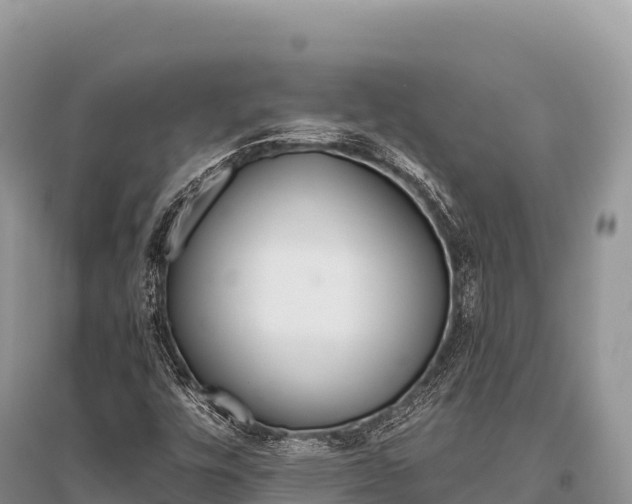 X0000096171448200801251139