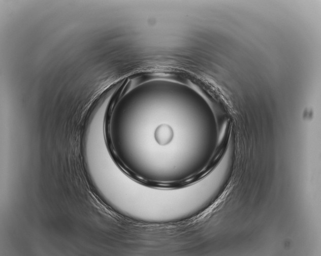 X0000096171449200801251139