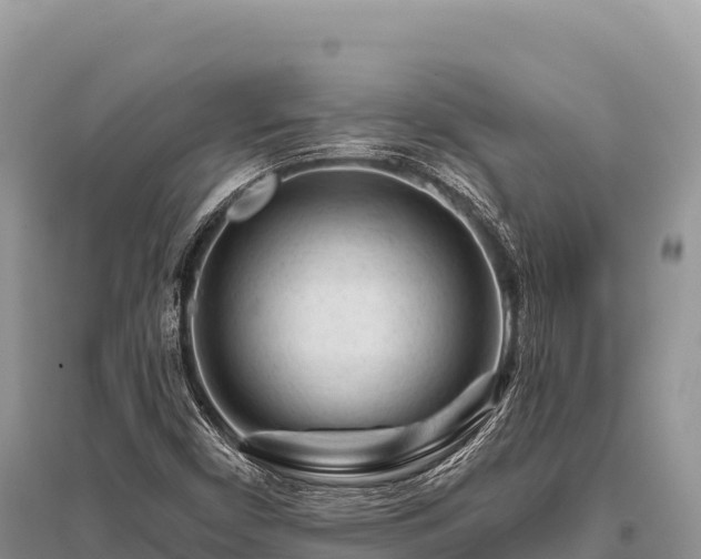 X0000096171450200801251139