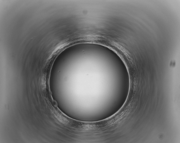 X0000096171451200801251139