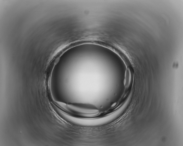 X0000096171452200801251139